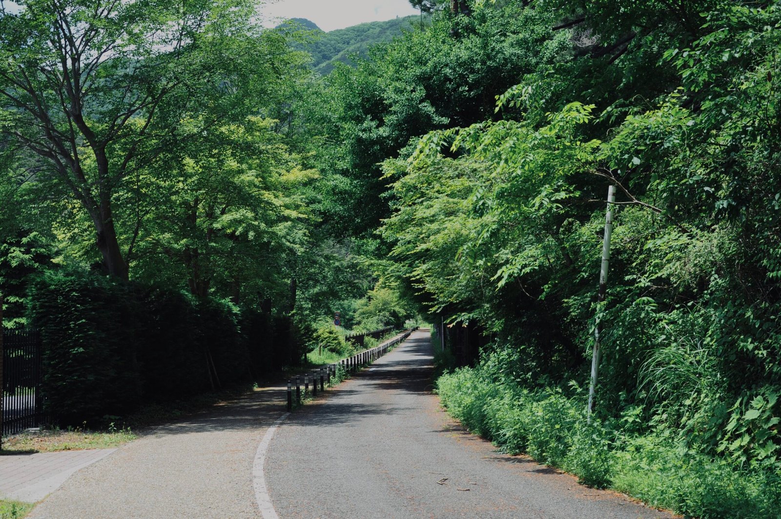 Fujikawaguchiko (富士河口湖町), Yamanashi, Japan