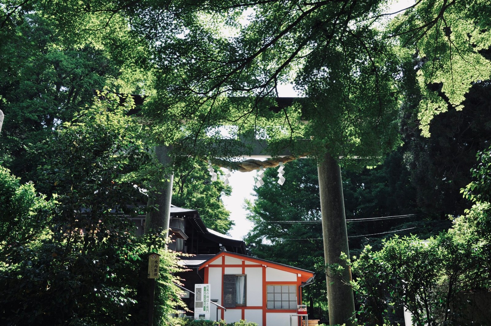 1,015 stone steps of Yamadera (山寺の石段), Yamadera, Yamagata, Japan