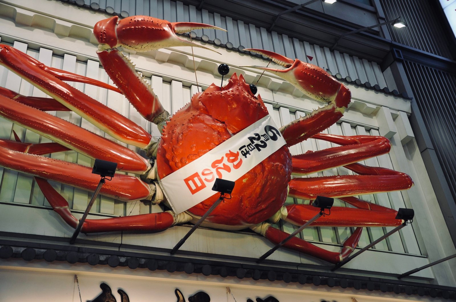 Dotonbori (道頓堀), Osaka, Japan