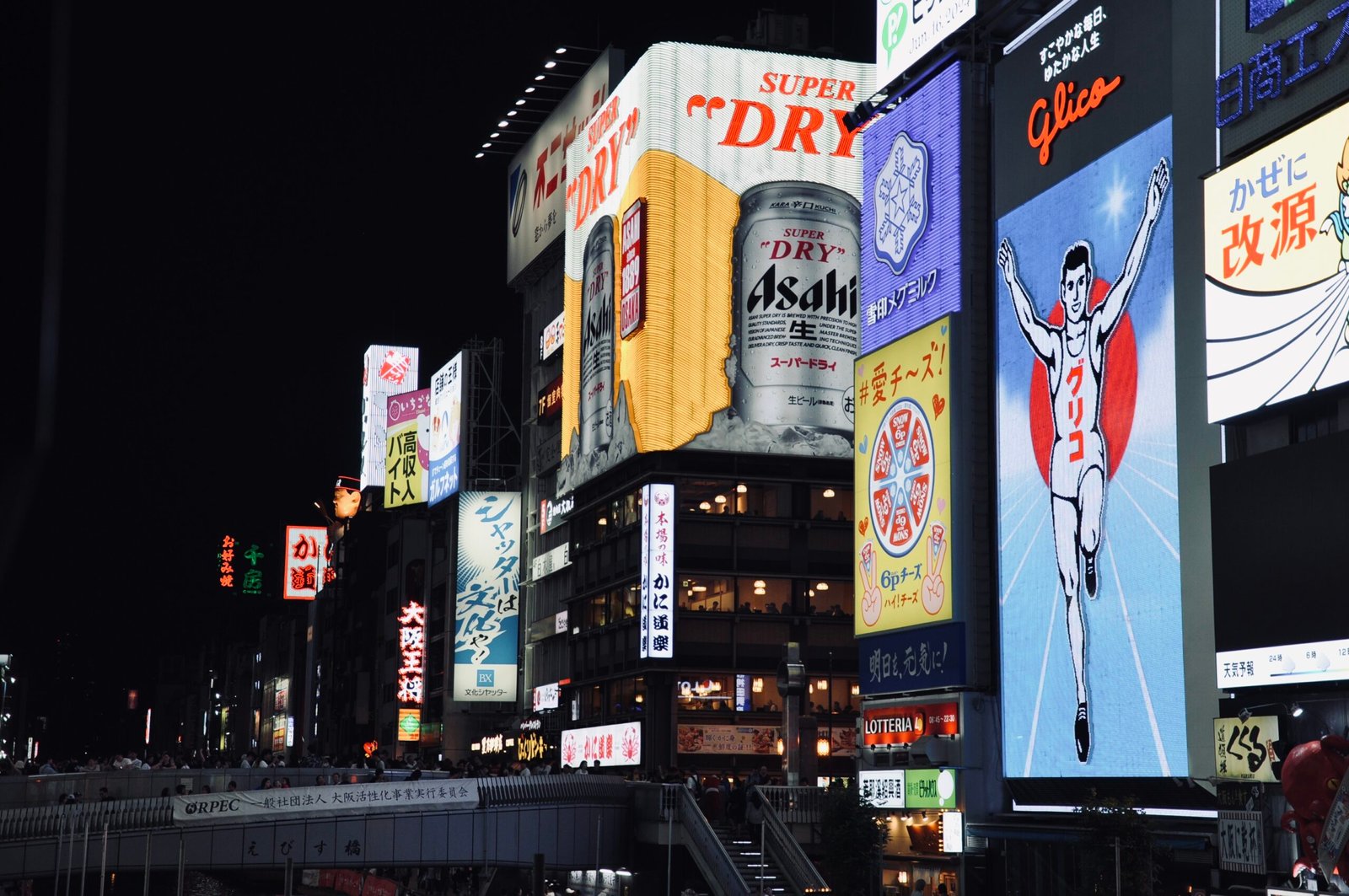 Dotonbori (道頓堀), Osaka, Japan